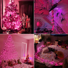 13Ft 50LED Halloween Decoration String Lights