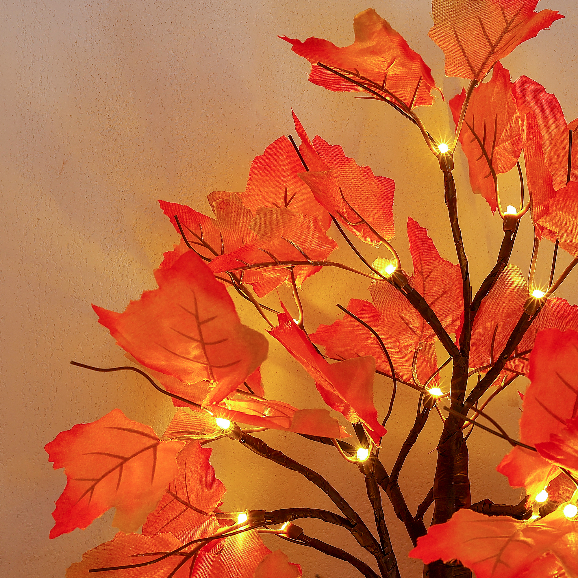 Maple Tree Lights