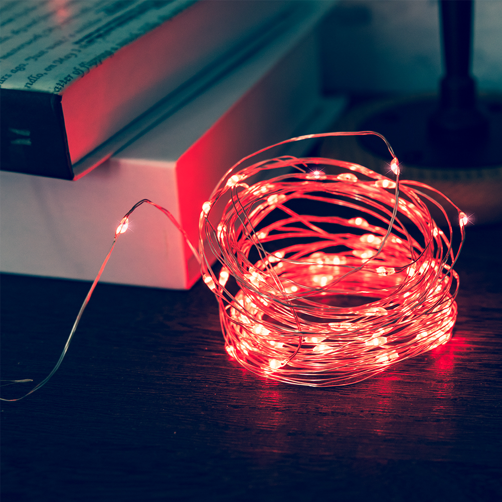 Warm LED Battery Operated String Lights
