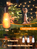 22Ft 20LED Flickering Flame String Lights
