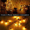 25Ft G40 Globe String Lights With Bulbs