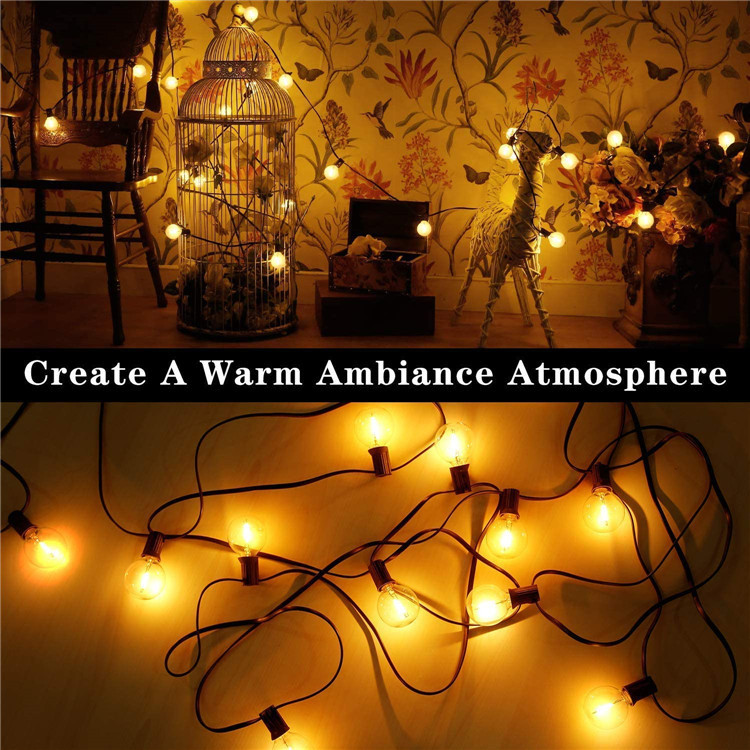 25Ft G40 Globe String Lights With Bulbs