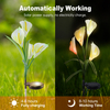 7 Color Calla Lily Solar Flower Lights