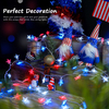 100LED Independence Day Fairy Star Light
