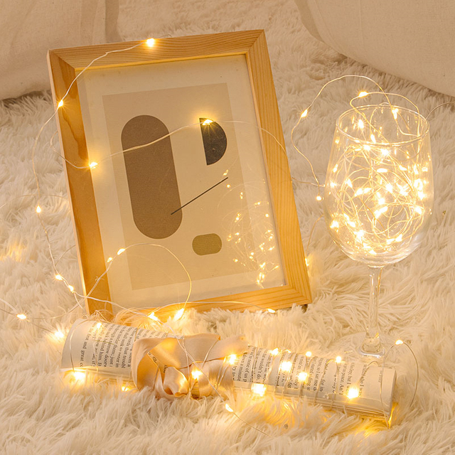 Warm LED Battery Operated String Lights