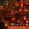 Mini Halloween Lights with Black Wire