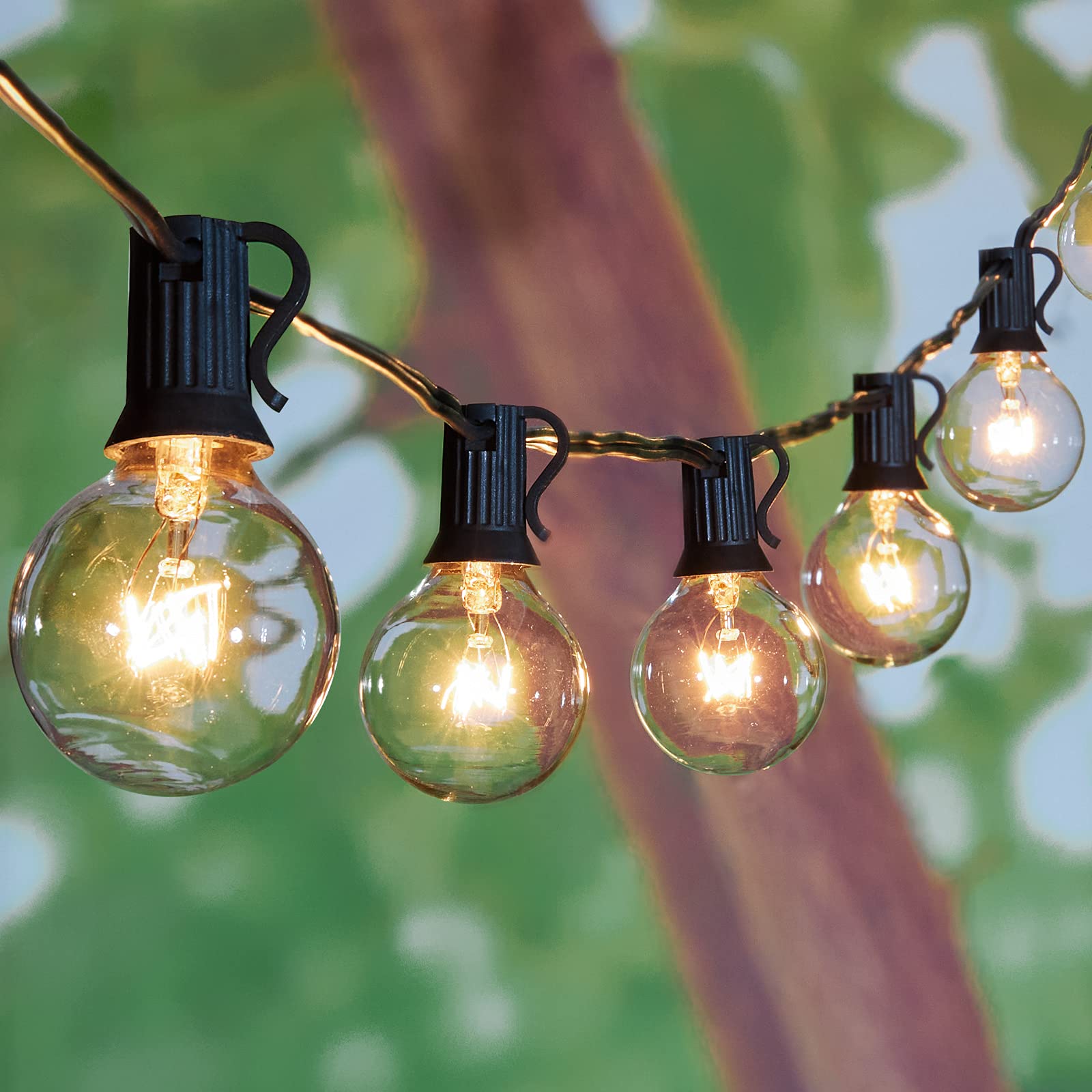 25Ft G40 Globe String Lights With Bulbs