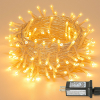 33ft 100 LED Colorful Christmas Light