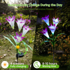 8 Lily Flower Solar Garden Lights