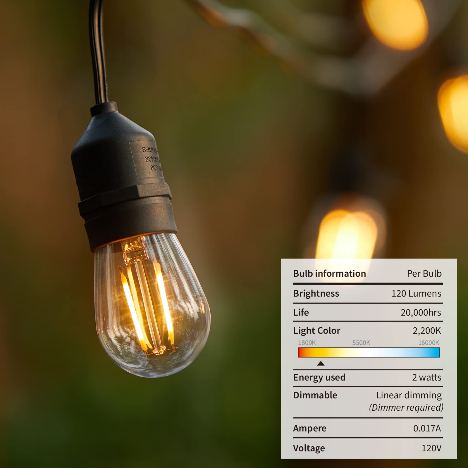 Hanging Patio Lights