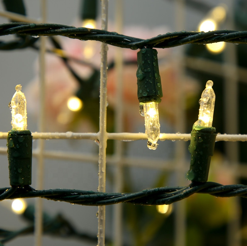 100 LED Mini Christmas String Lights