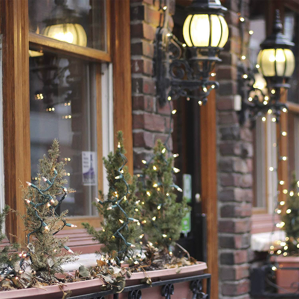 100 LED Mini Christmas String Lights