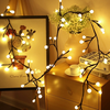 Indoor Decoration DIY Willow Vine Lights