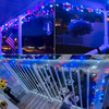 8Modes Independence Day Decor String Lights