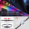 Permanent Outdoor Lights with App & Remote 