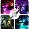 Permanent Outdoor Lights with App & Remote 