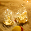 Christmas Decor Starry String Lights
