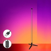 Color Ambient LED Integrated Floor Lamp