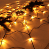 Halloween Horror Atmosphere Spider Web Lights