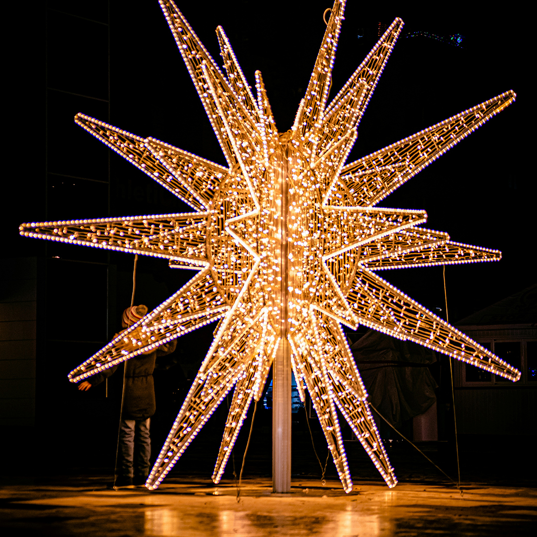 Woohahaled led string light