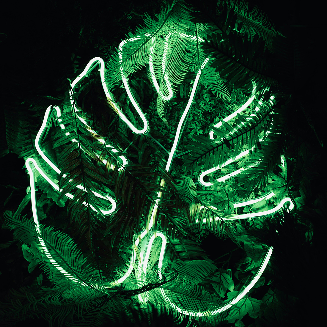 Woohahaled LED neon light