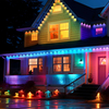 Permanent Outdoor Lights with App & Remote 