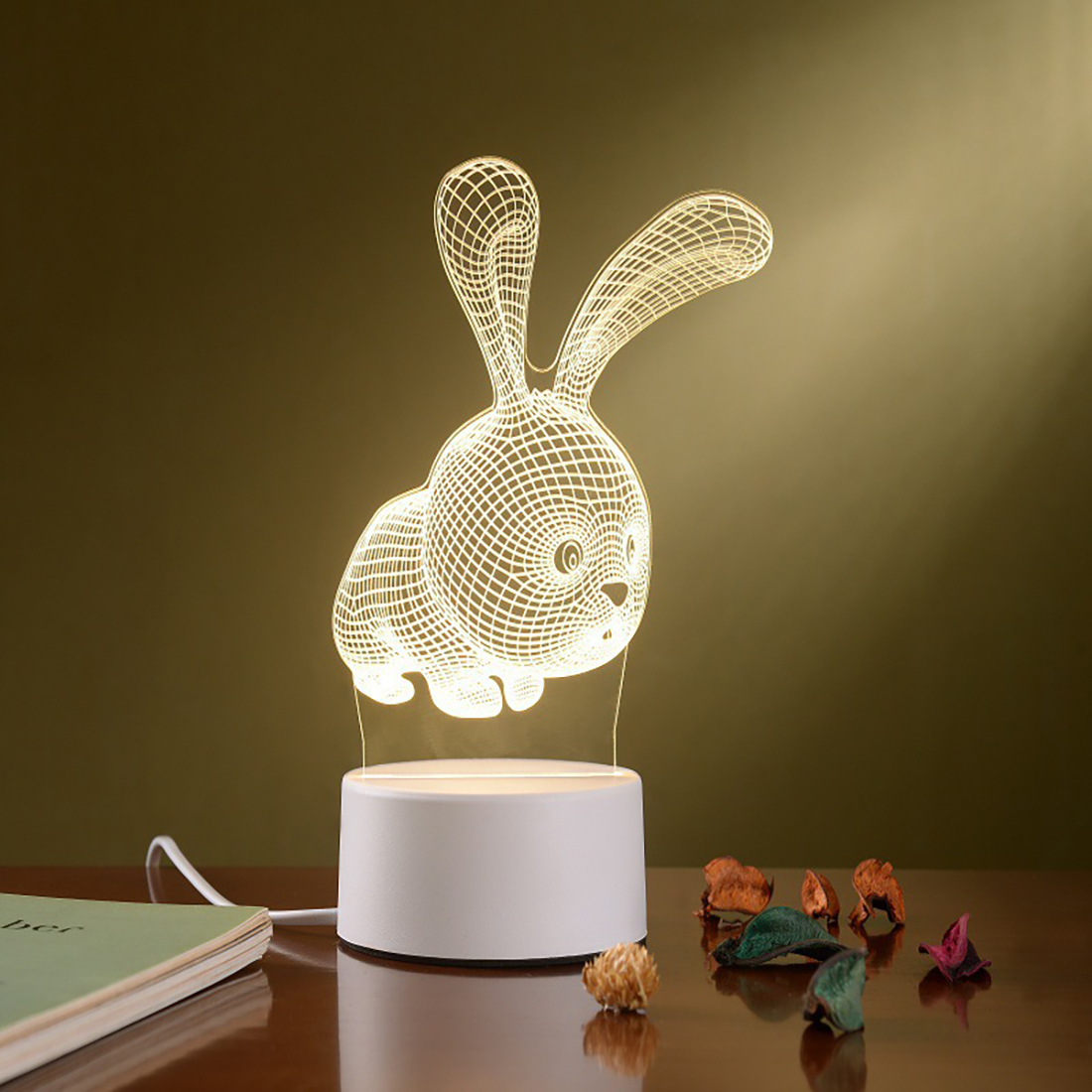 3D Illusion Night Light Picture