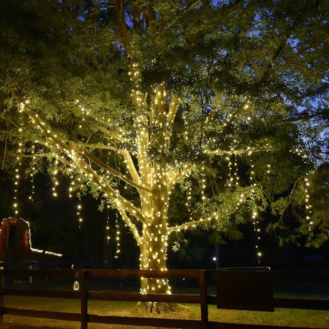 Illuminating Gardens With Tree Lights