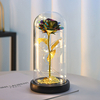 Eternal Gold Foil Flower Night Lights