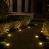 Waterproof Outdoor Solar Ground Lights
