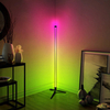Color Ambient LED Integrated Floor Lamp
