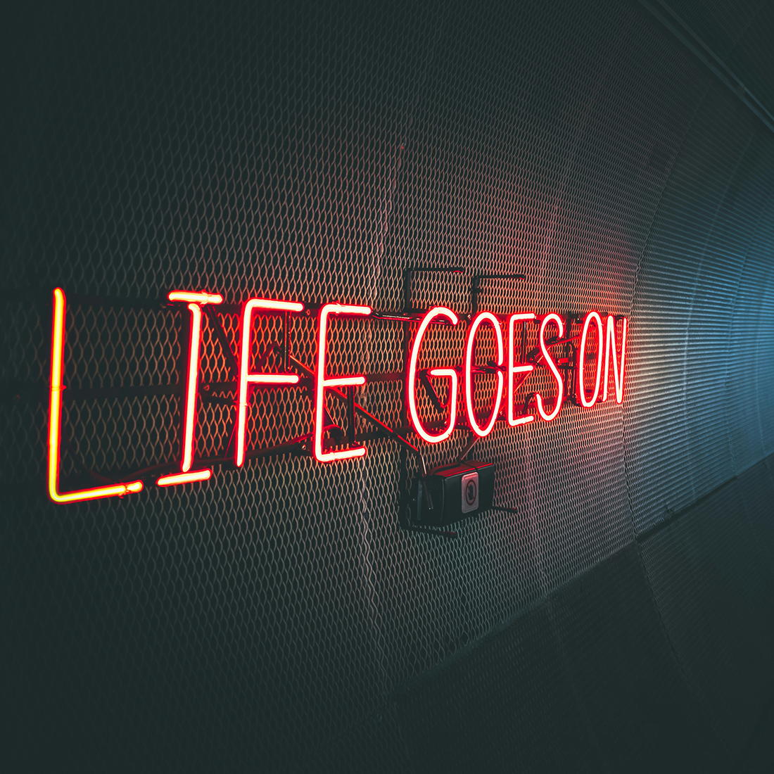 Woohahaled LED neon light