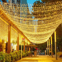 Wedding Decoration Twinkle String Lights