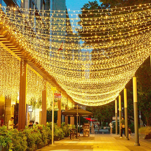 Wedding Decoration Twinkle String Lights