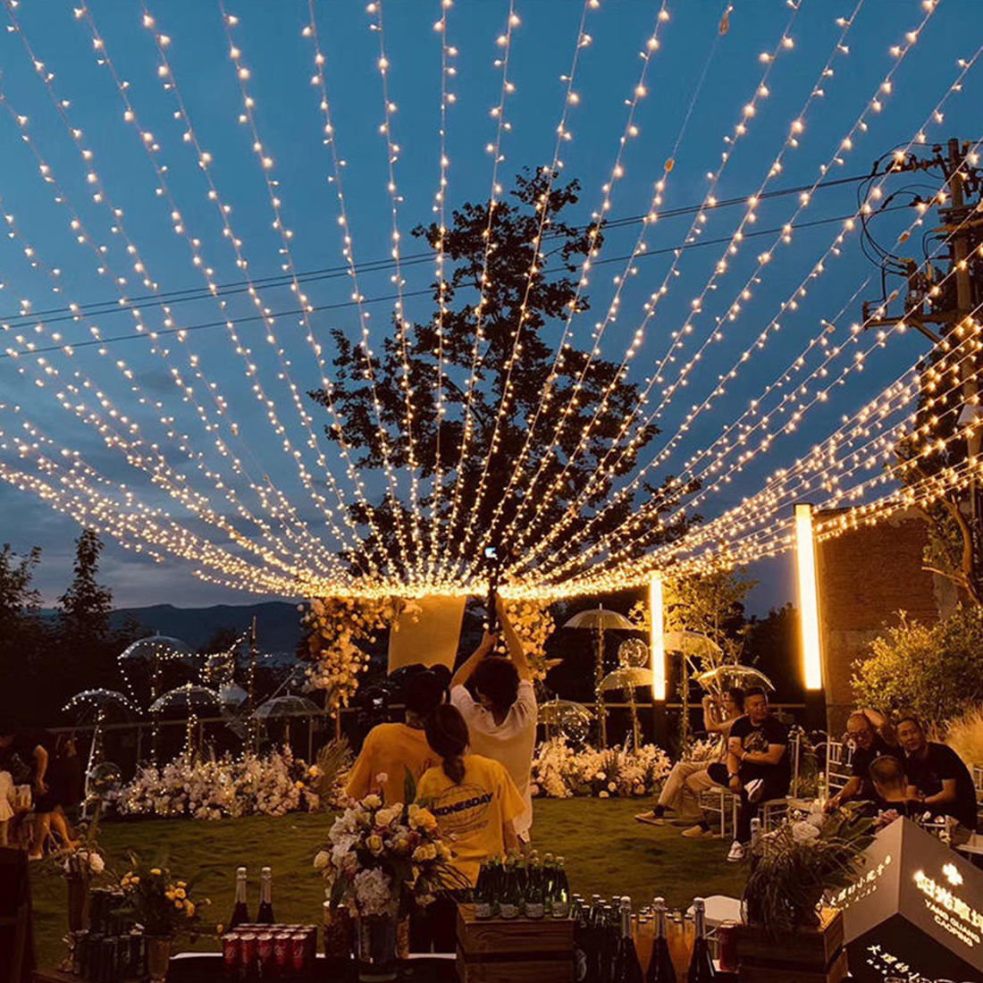 Weddings Events Fairy Curtain String Lights