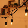  Edison Led Globe Ball S14 Bulb