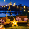 S14 Smart LED Color Light String