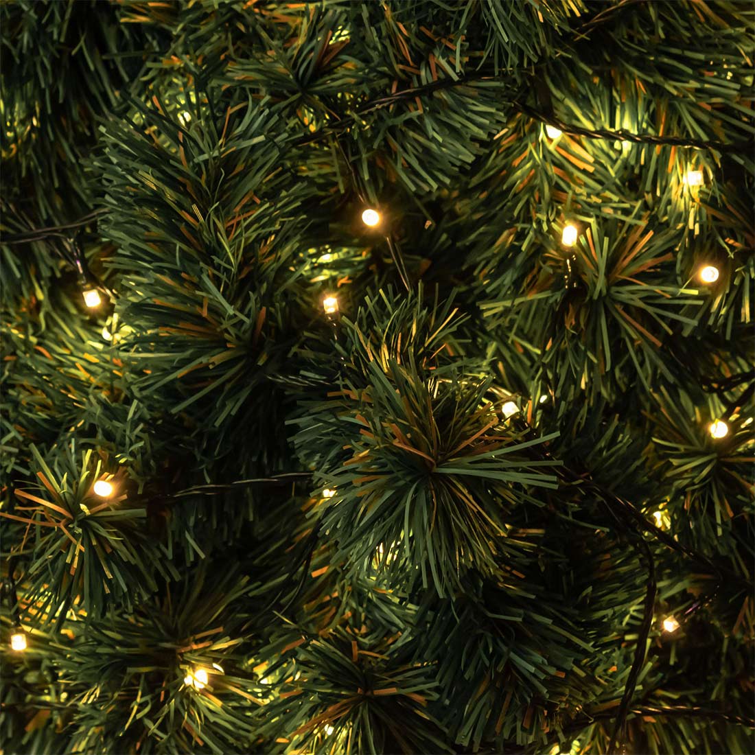 Christmas Lights Scene Picture