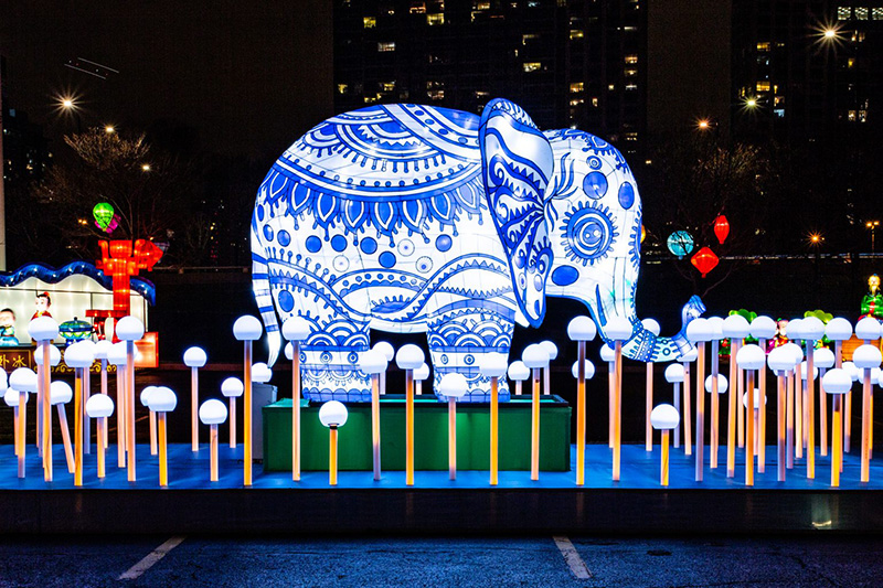 India Outdoor Christmas Lights Picture