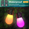 S14 Smart LED Color Light String