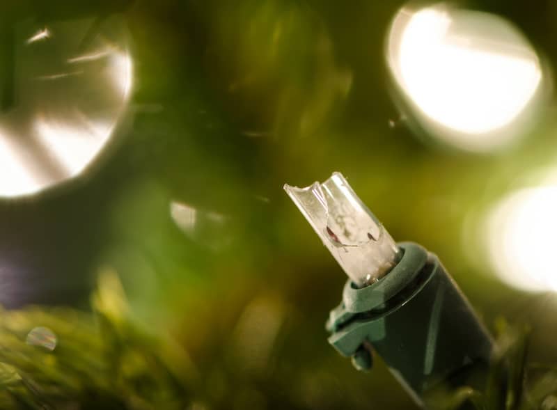 Check for Damaged Lights
