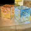 DIY Tulip Cube Mirror Lamp