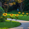 Solar Sunflowers LED Stake Light