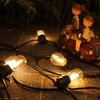  Edison Led Globe Ball S14 Bulb